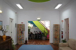 A Buganvilia