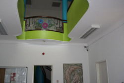 A Buganvilia